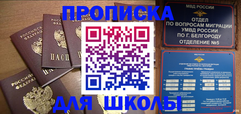 прописка гарантия в Емве